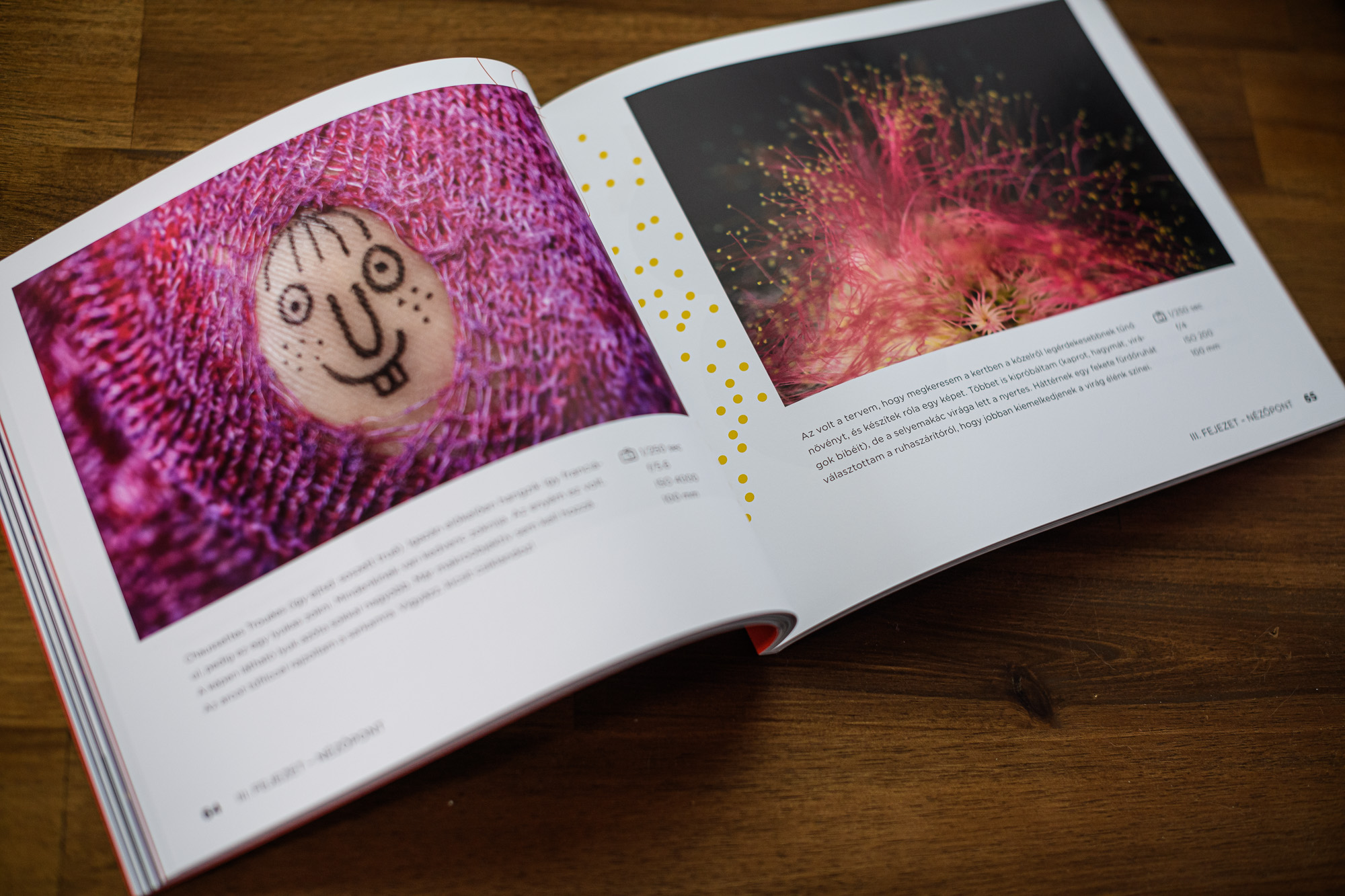 „Aki szeret fényképezni, nem lesz többé egyedül” – a könyv, ami minden gyerekből fotóművészt csinál