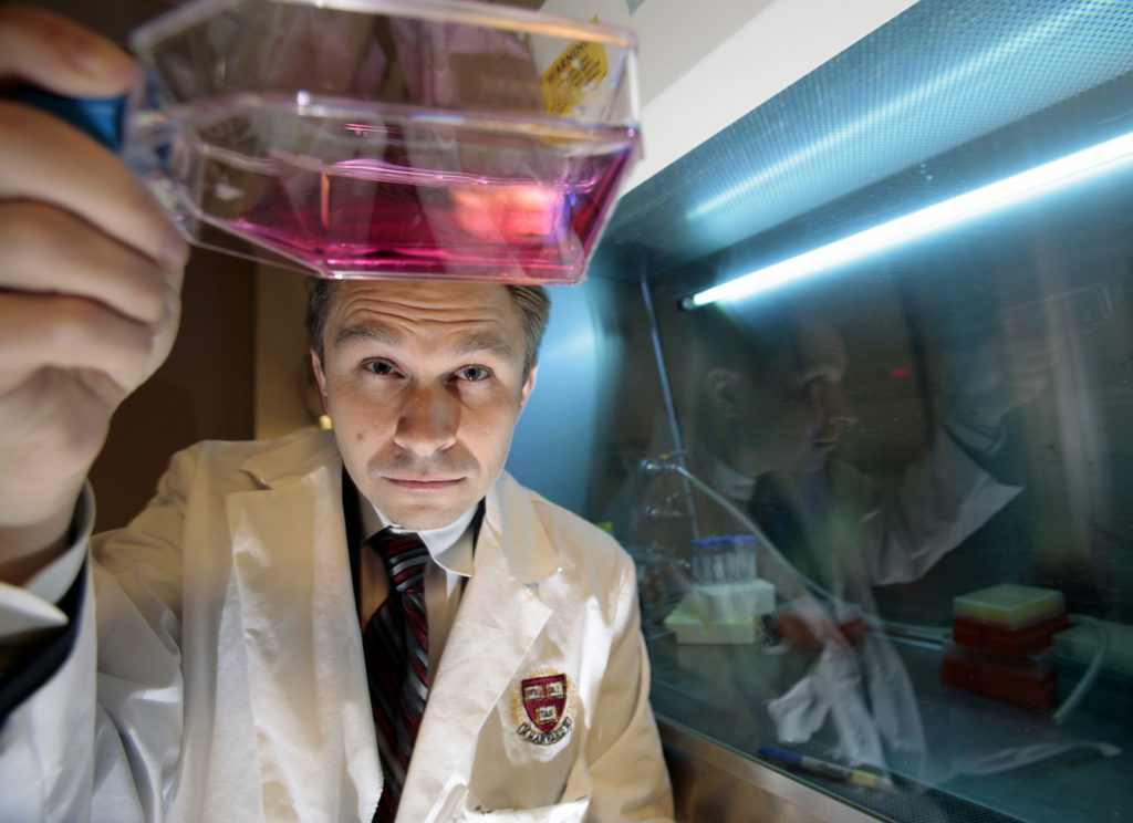 Gyógyítható az öregedés? A harvardi professzor szerint igen.