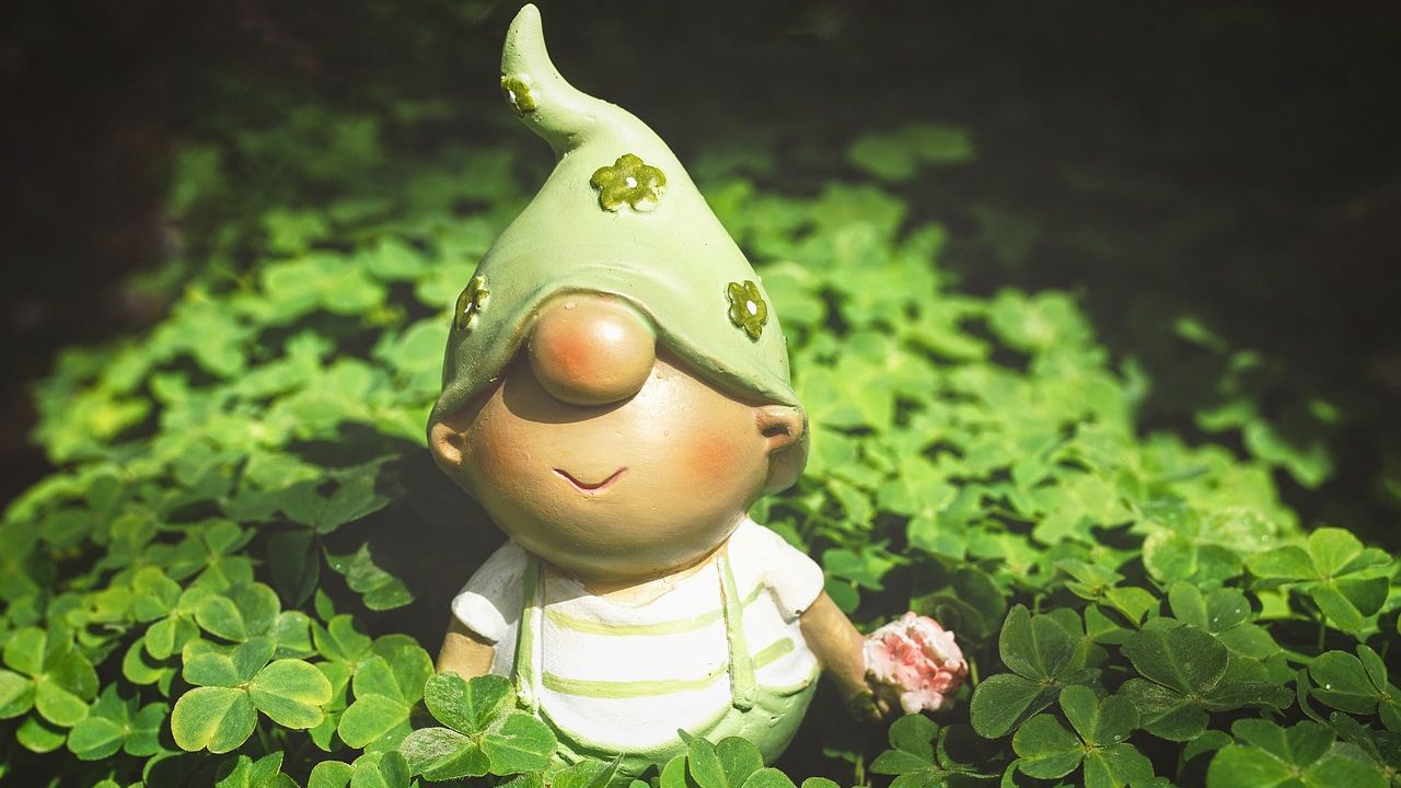 Szerencse manó lóhere