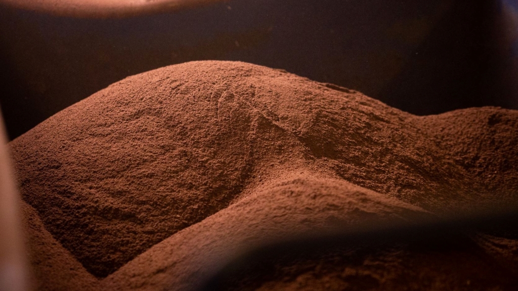 Kávézacc a pannonhalmi levendulamezőn: nem csak téged, hanem a talajt is feltölti energiával (x)