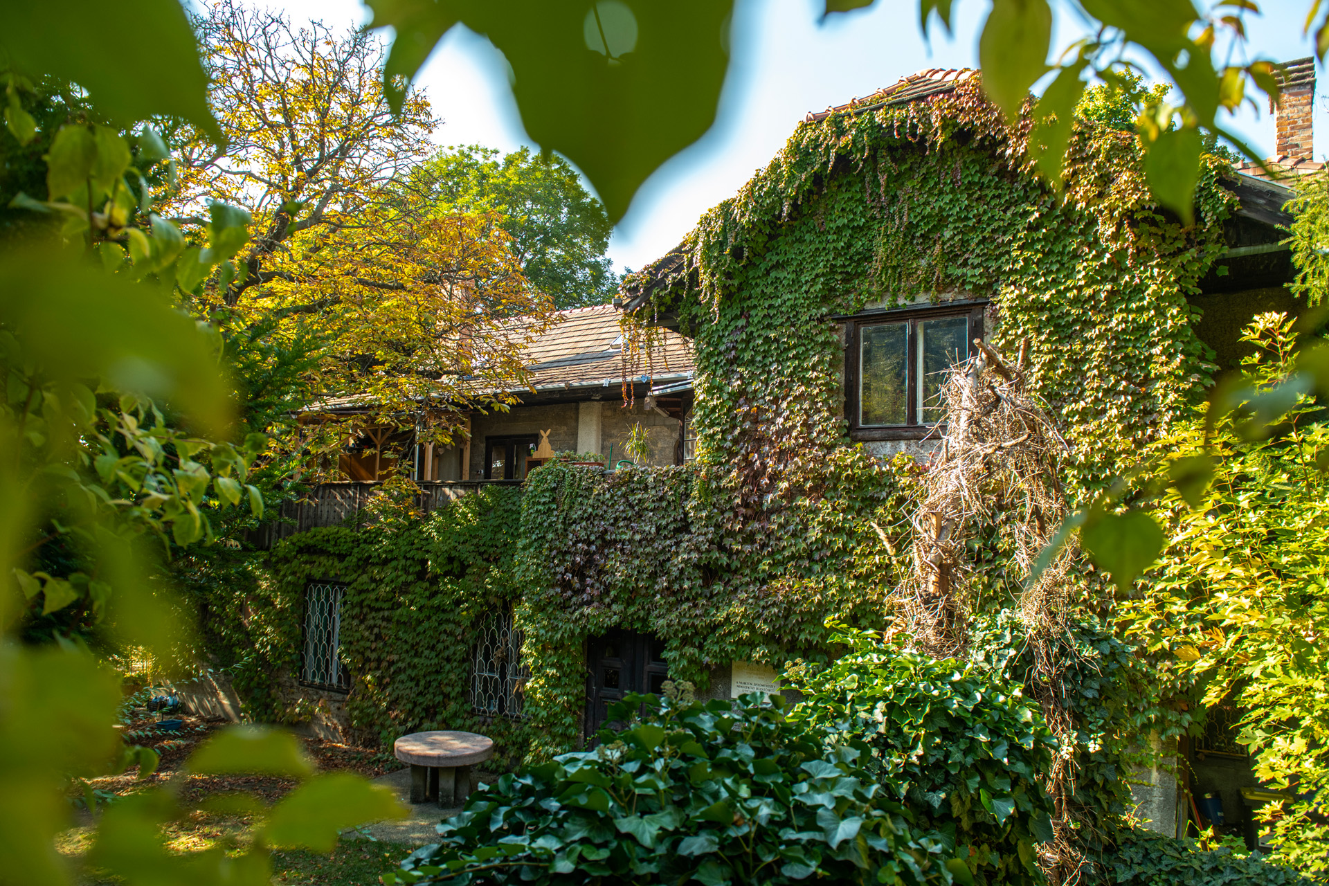 Hosszúlépés Budapesten