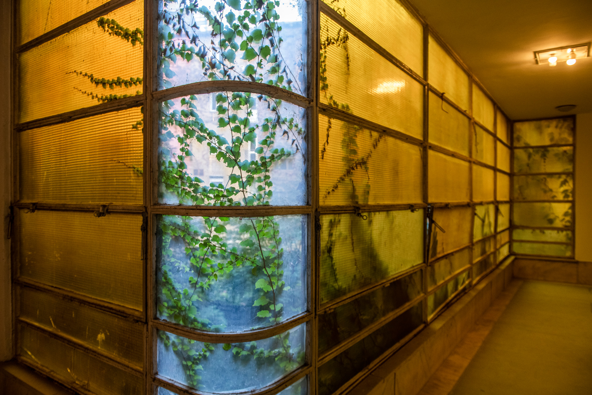 Hosszúlépés Budapesten