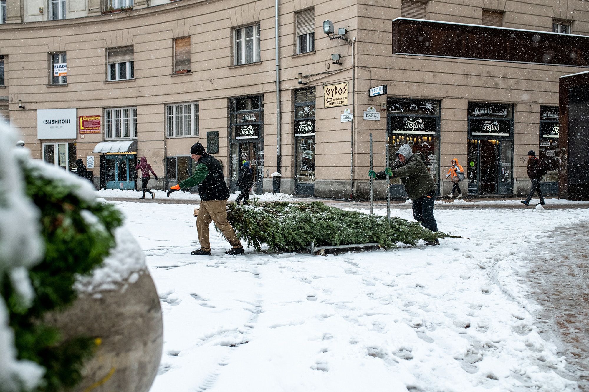 Karácsony, tél, hó