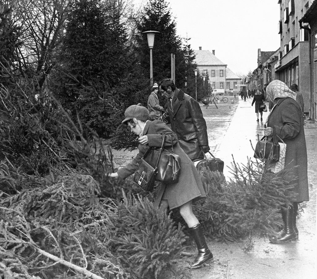Karácsonyfa vásár 1974-ben Dombóváron 