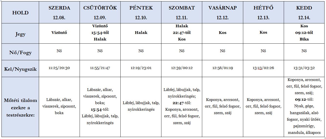 Heti holdhoroszkóp tábla 2021. 12. 08-14.