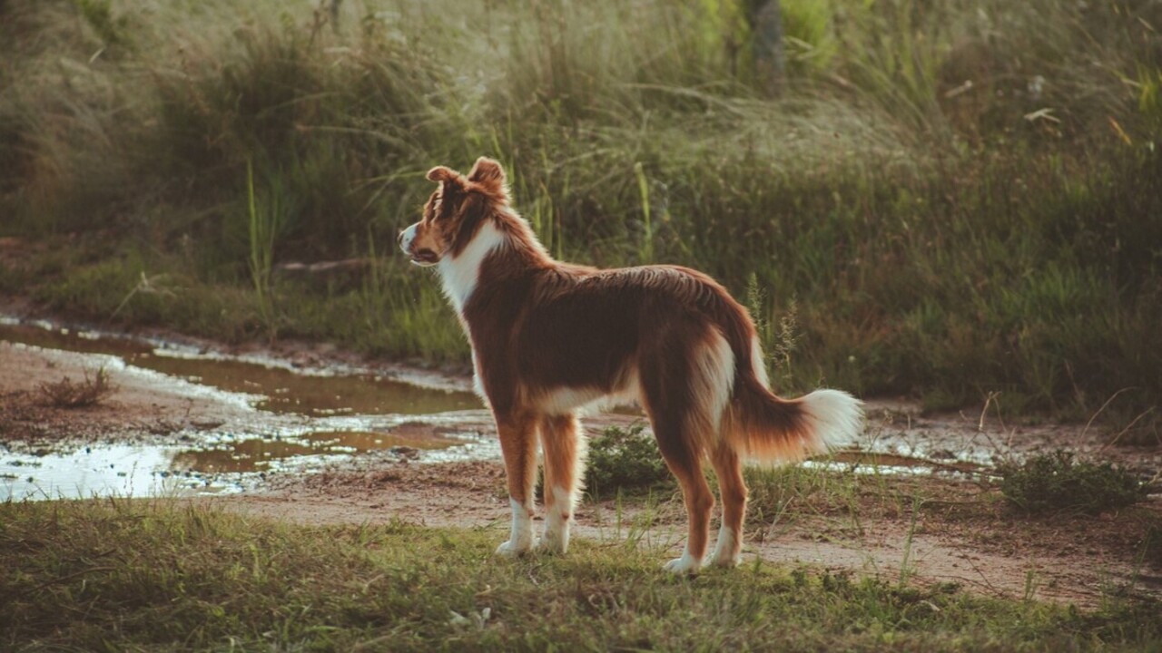 Csodálatos gyógyulás (Illusztráció: Pexels.com)