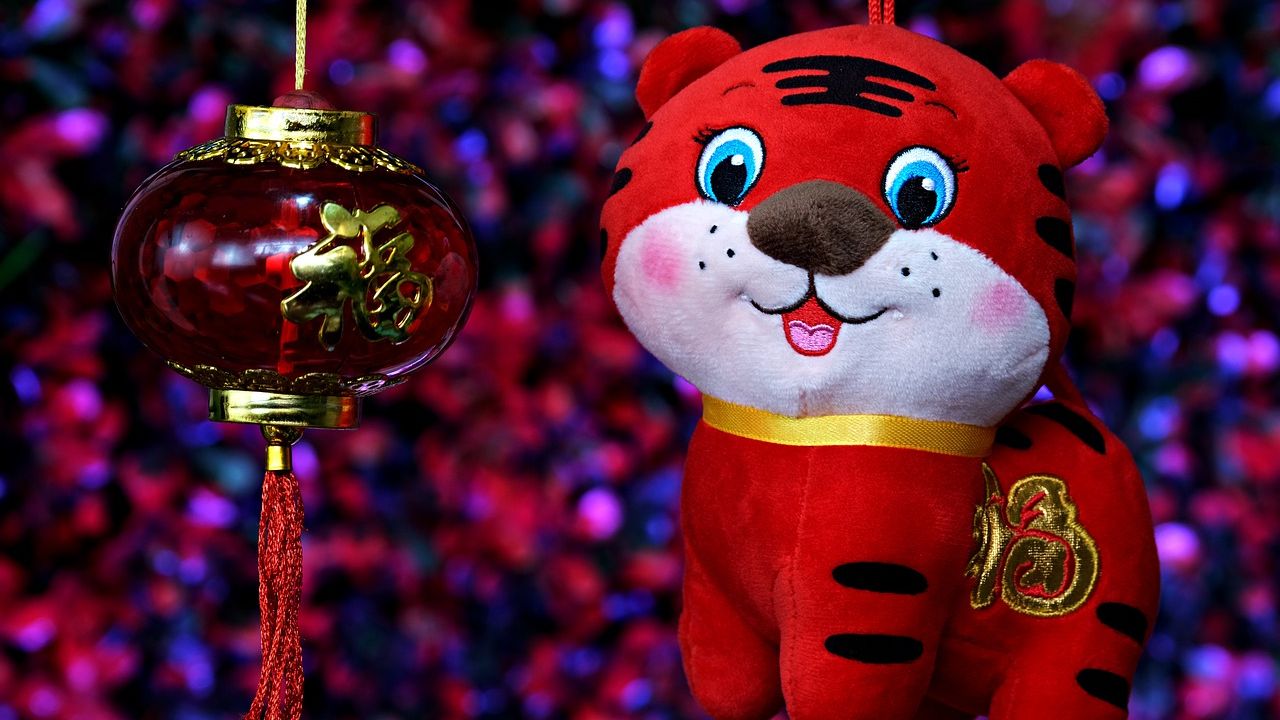 kínai holdújév, Tigris éve