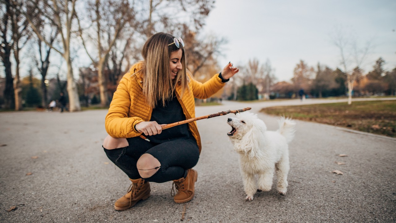 Kutyát sétáltató nő
