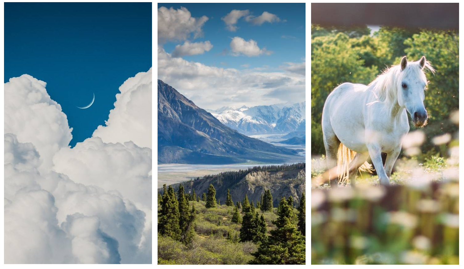 felhő hegyvidék ló