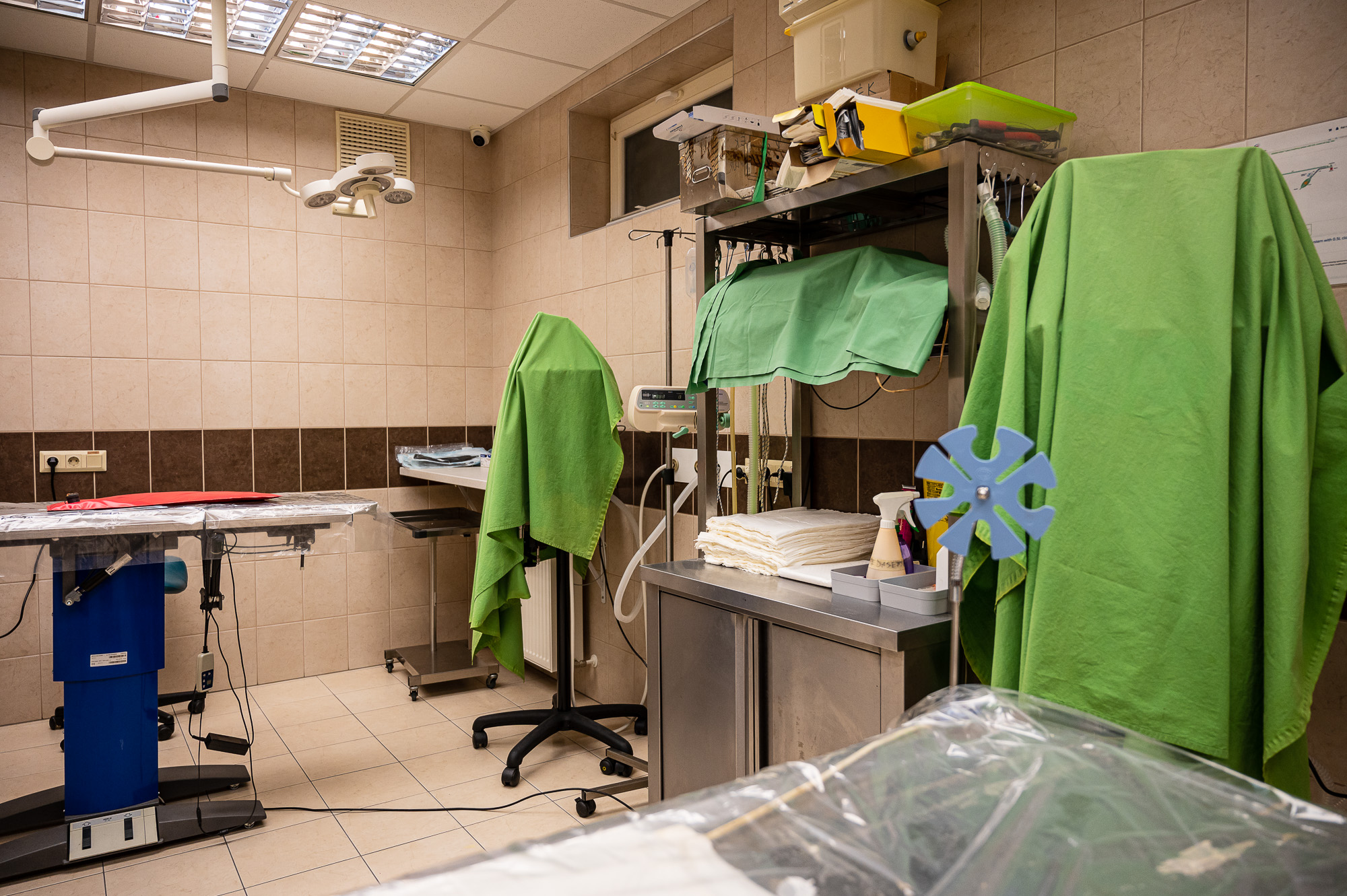 Budapesti Állatkórház