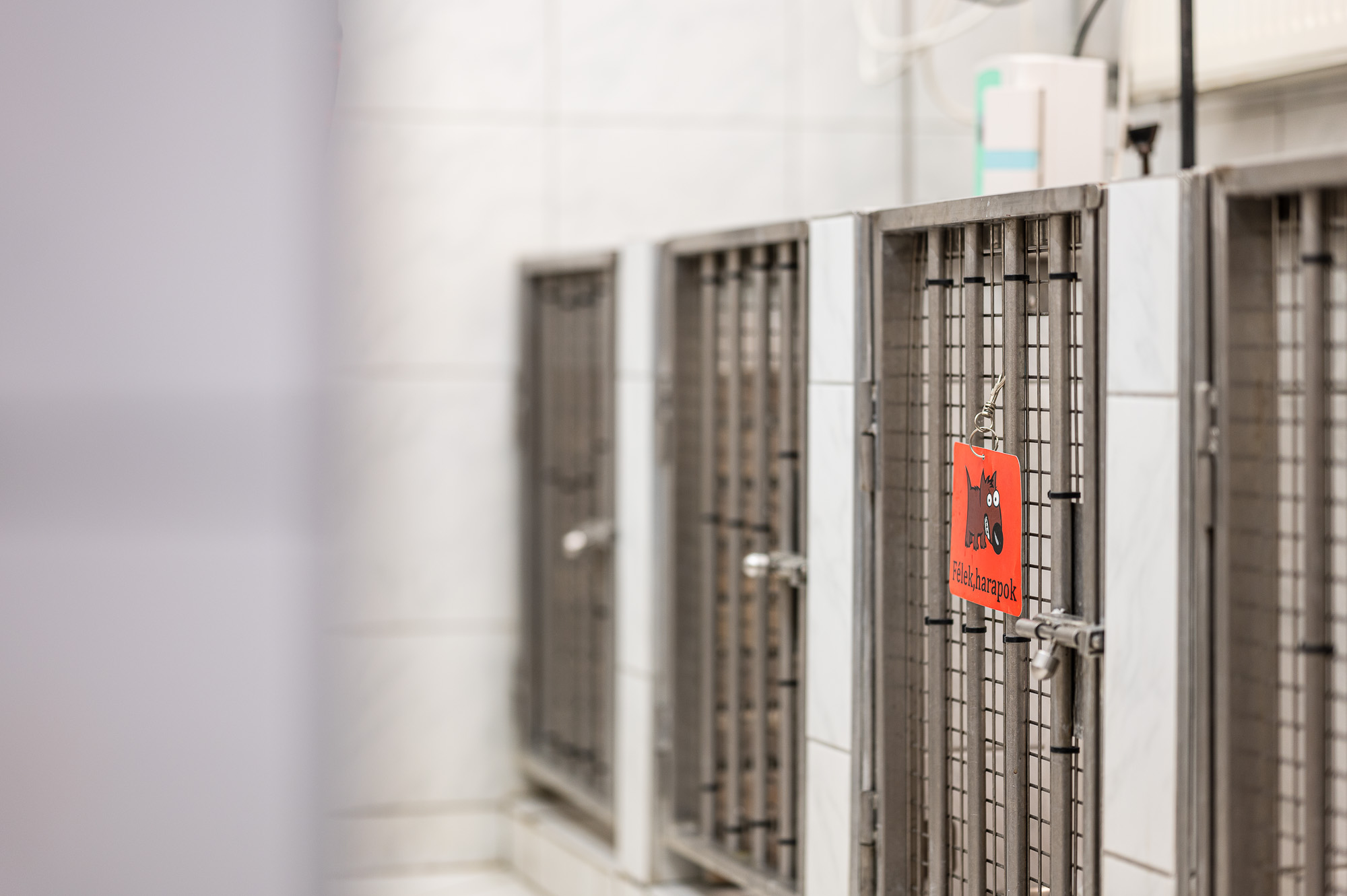 Budapesti Állatkórház