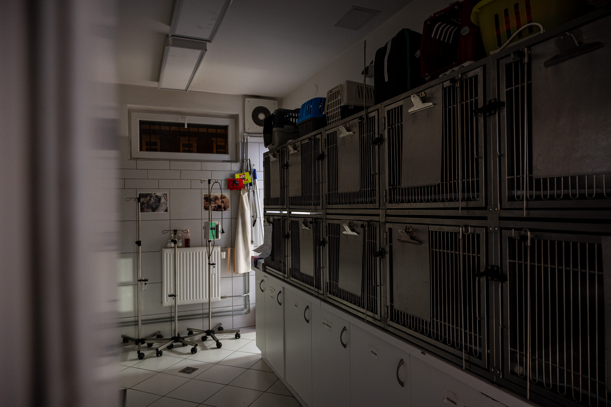 Budapesti Állatkórház