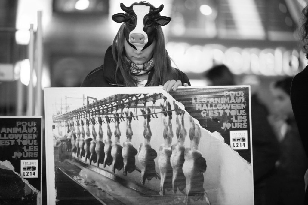 húsevés vegetáriánus vegán pszichológia