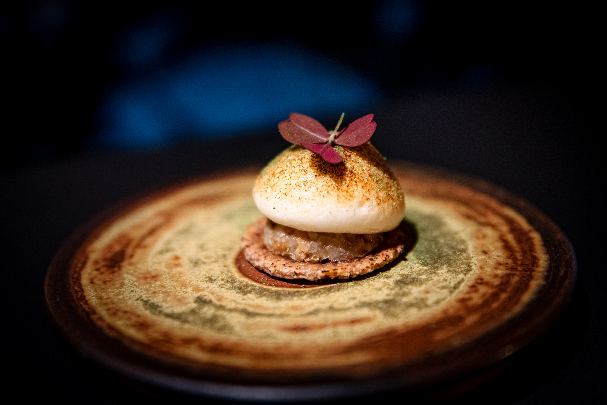 fine dining Michelin-csillag tóth szilárd salt étterem