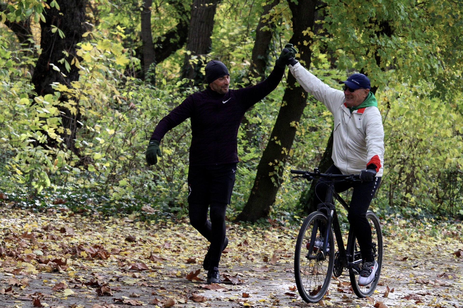 németh lajos palik lászló