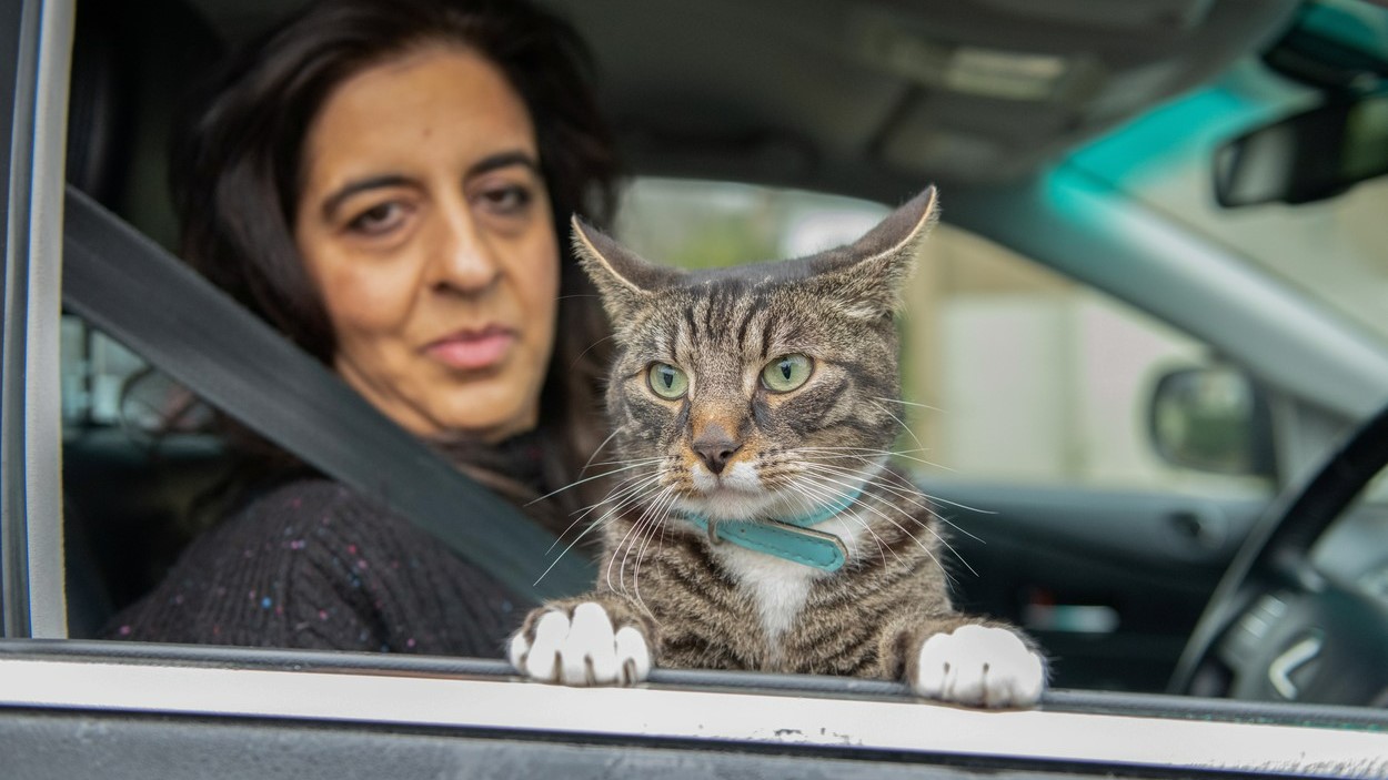 Tahira Sarwar és macskája, Mika