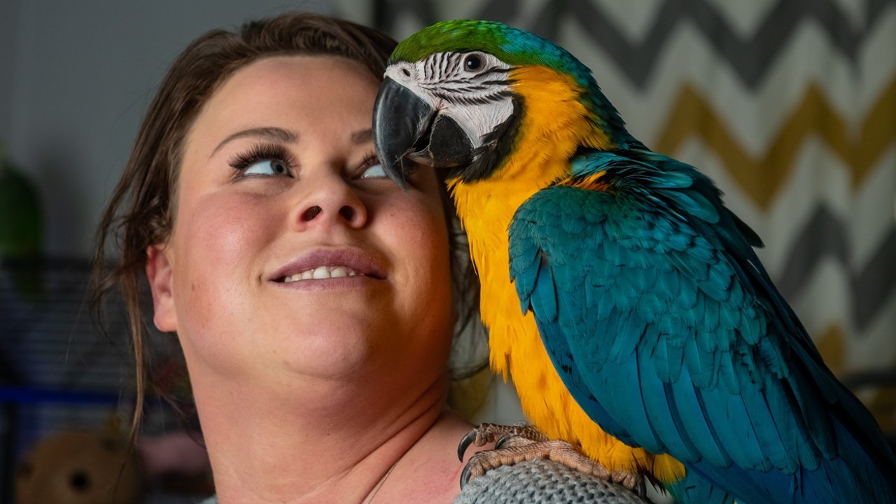 Leanne Jones és Missy