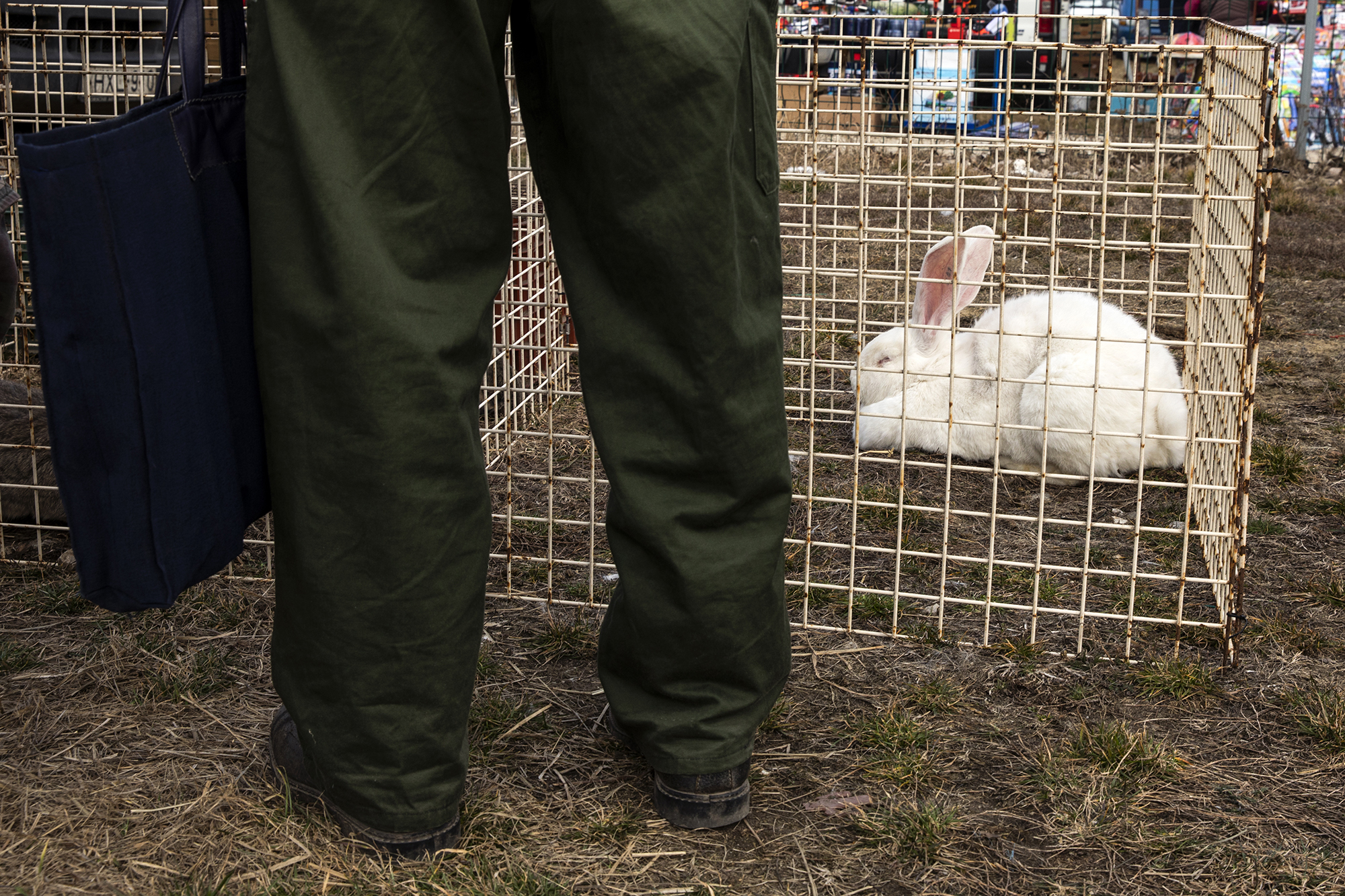 Az ónodi piac árusai és portékái