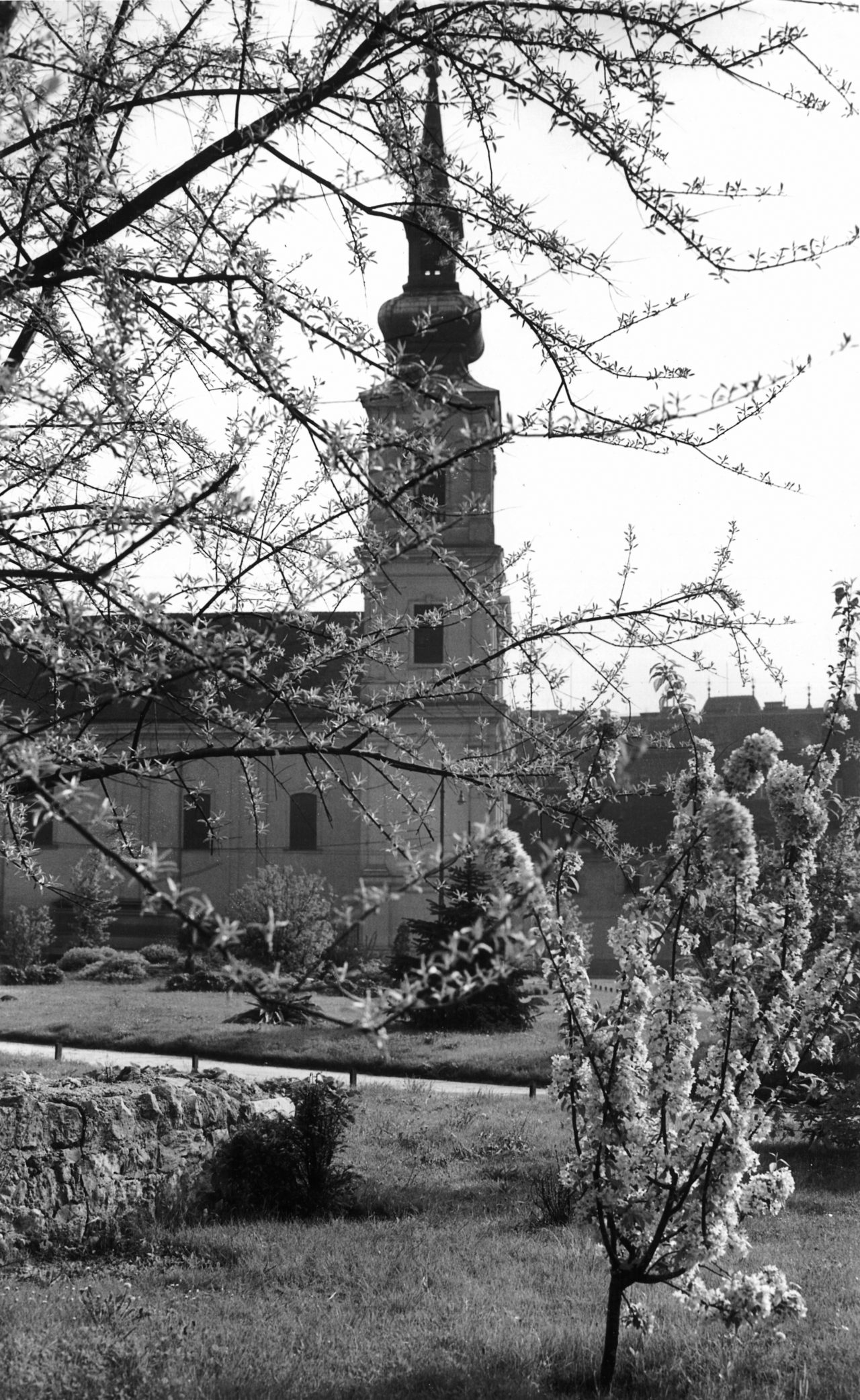 (Fotó: Fortepan/Archiv für Zeitgeschichte ETH Zürich Agnes Hirschi)