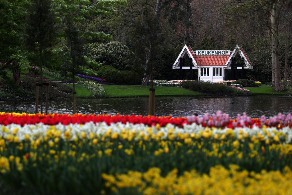 Tavasz a Keukenhofban