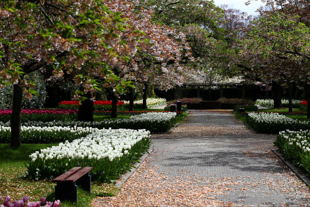 Tavasz a Keukenhofban