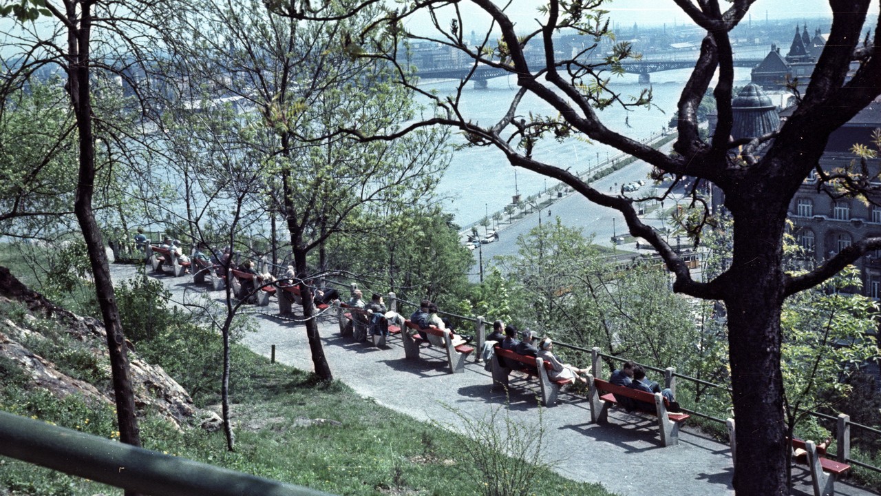 (Fotó: Fortepan/Nagy Gyula)