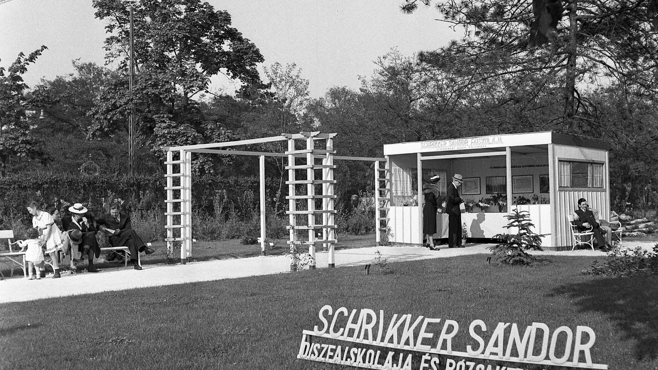 (Fotó: Fortepan/Ormos Imre Alapítvány)