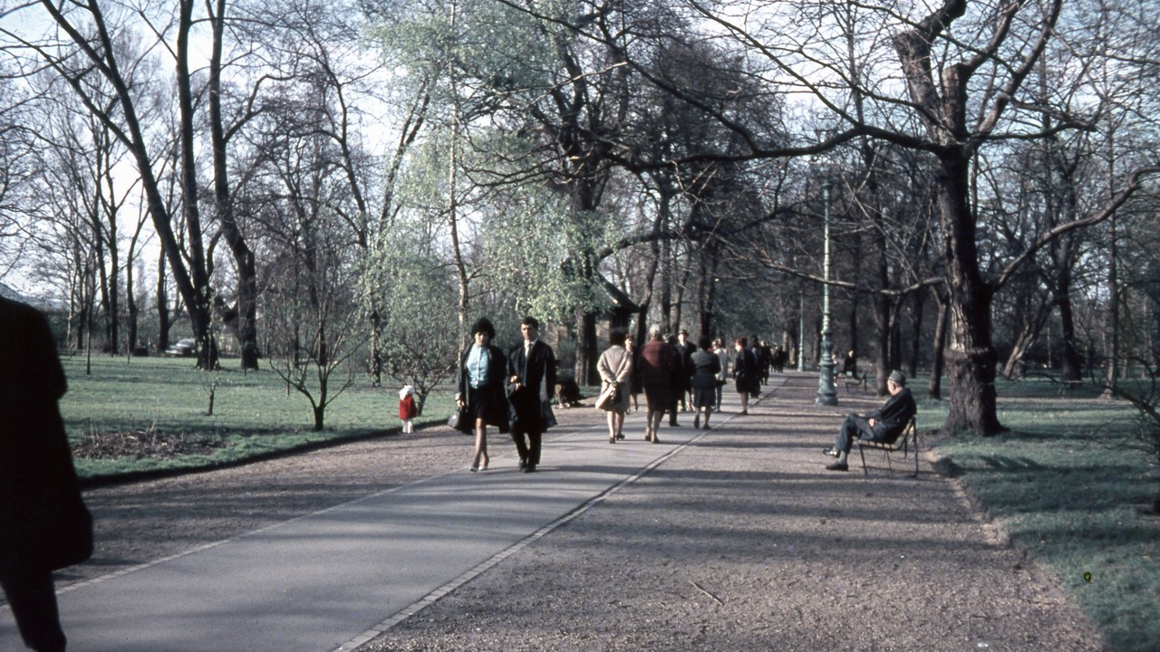 A Margitsziget 1971-ben(Fotó: Fortepan/Zsanda Zsolt)