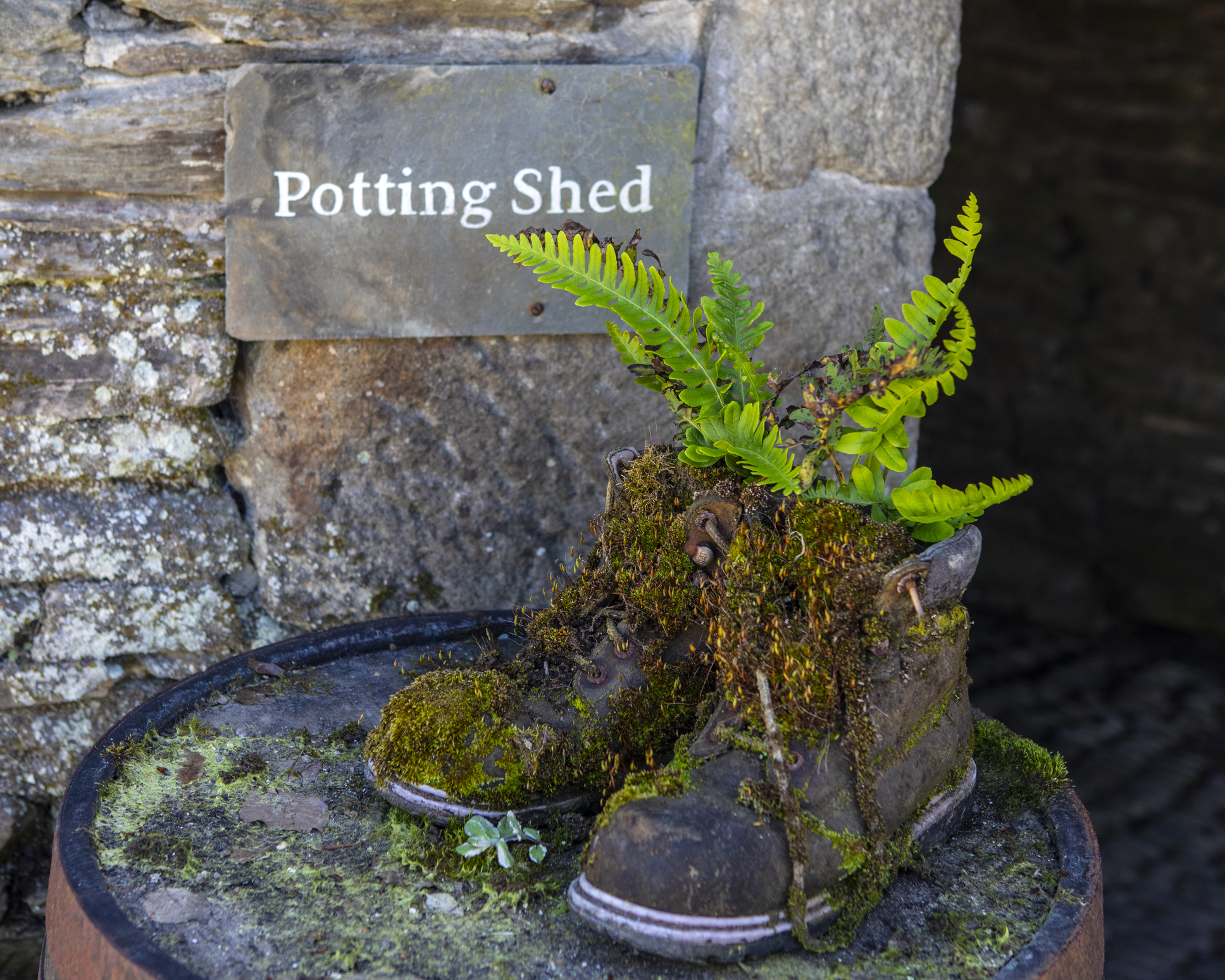 Heligan elveszett kertjei