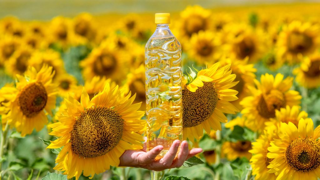Napraforgó olaj palackban