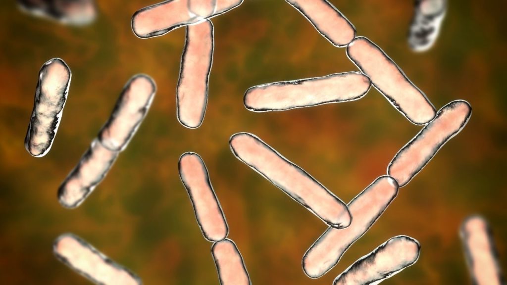 „Peribiotikum”: a legtöbb, amit bélflórád egyensúlyáért tehetsz!