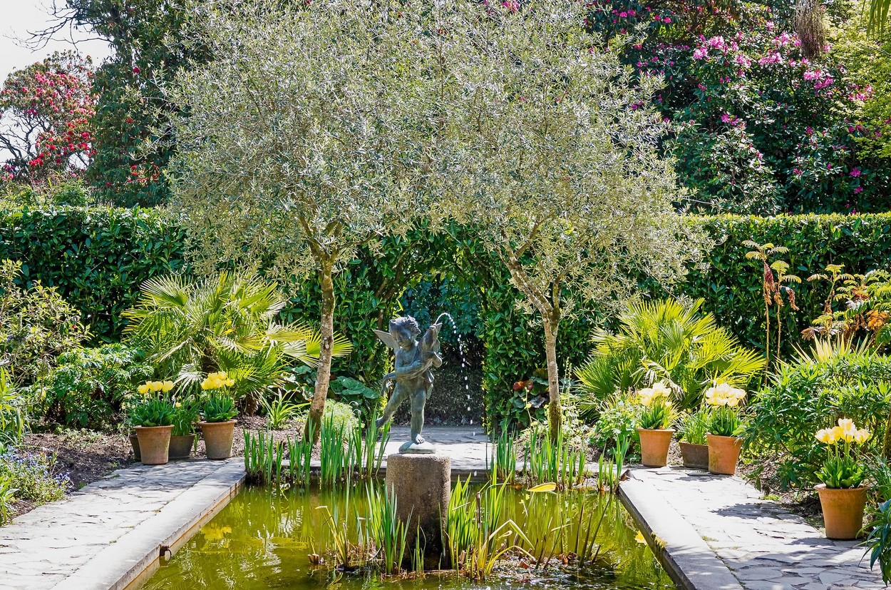 Heligan elveszett kertjei