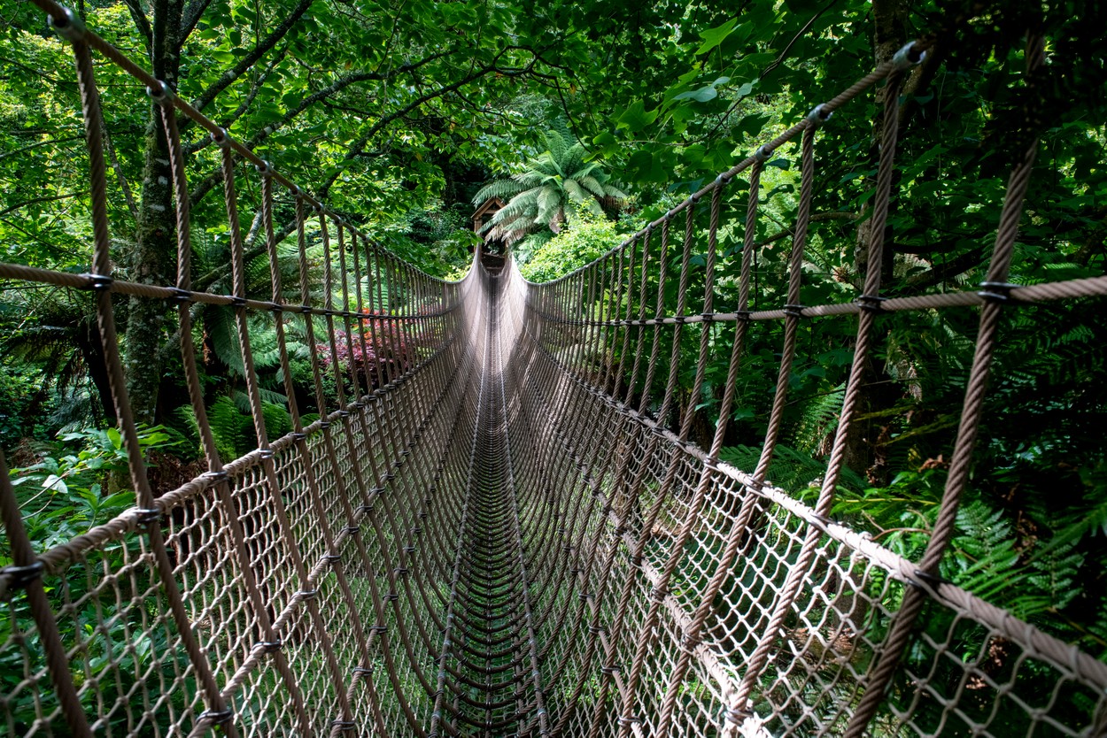 Heligan elveszett kertjei