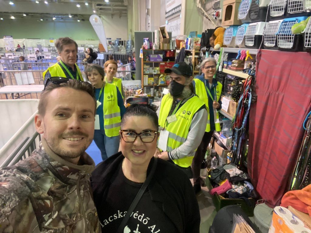 állatvédelem macska kölyökmacska ivartalanítás felelős állattartás