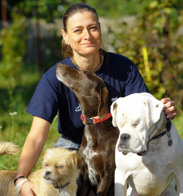 Schneider Kinga Noé