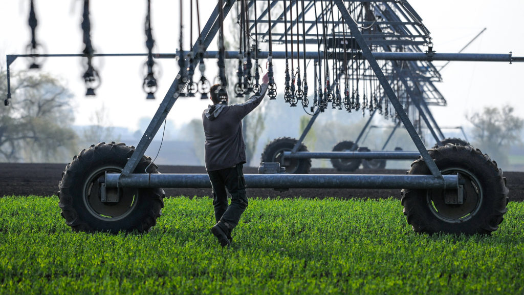 bio élelmiszer gazdaság