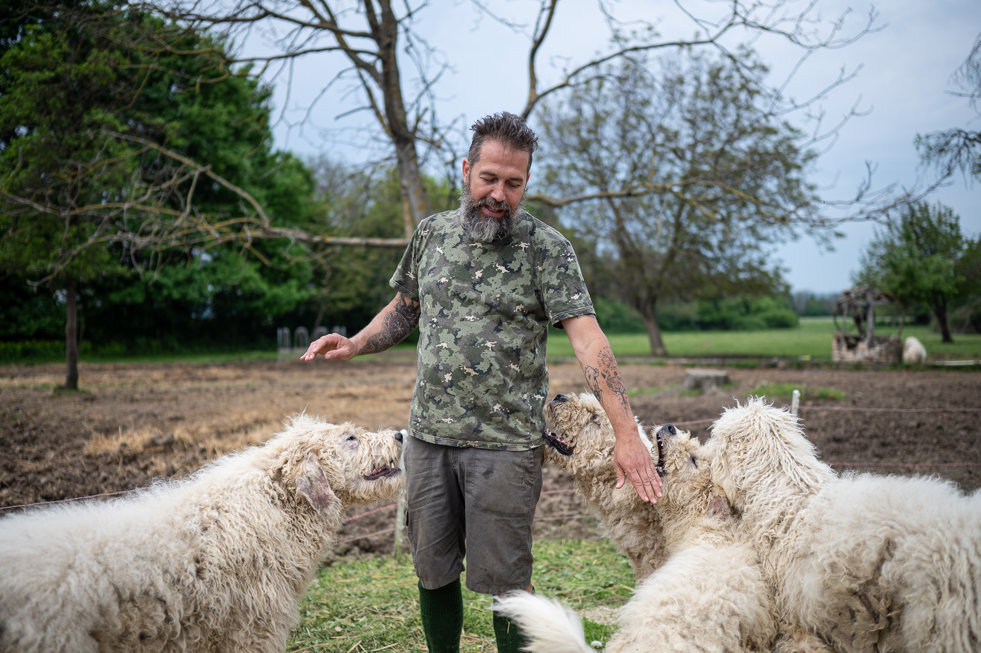 Korosa András, a Korosajt alapítója