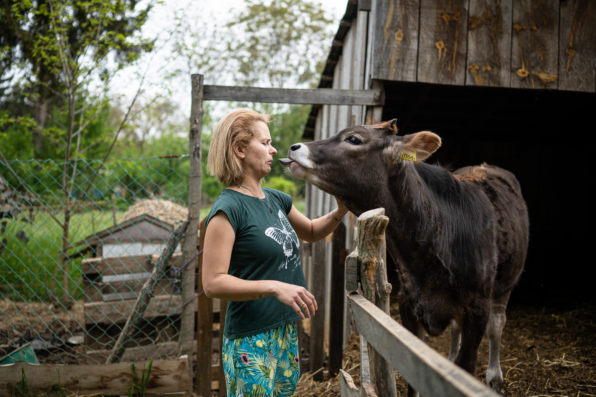 Korosa András, a Korosajt alapítója