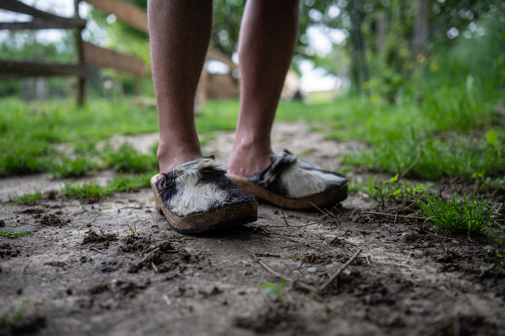 Korosa András, a Korosajt alapítója