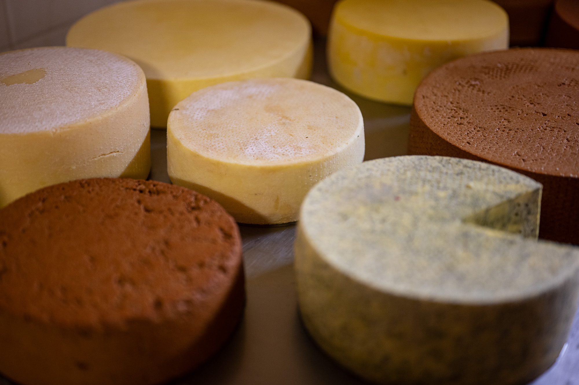 Korosa András, a Korosajt alapítója