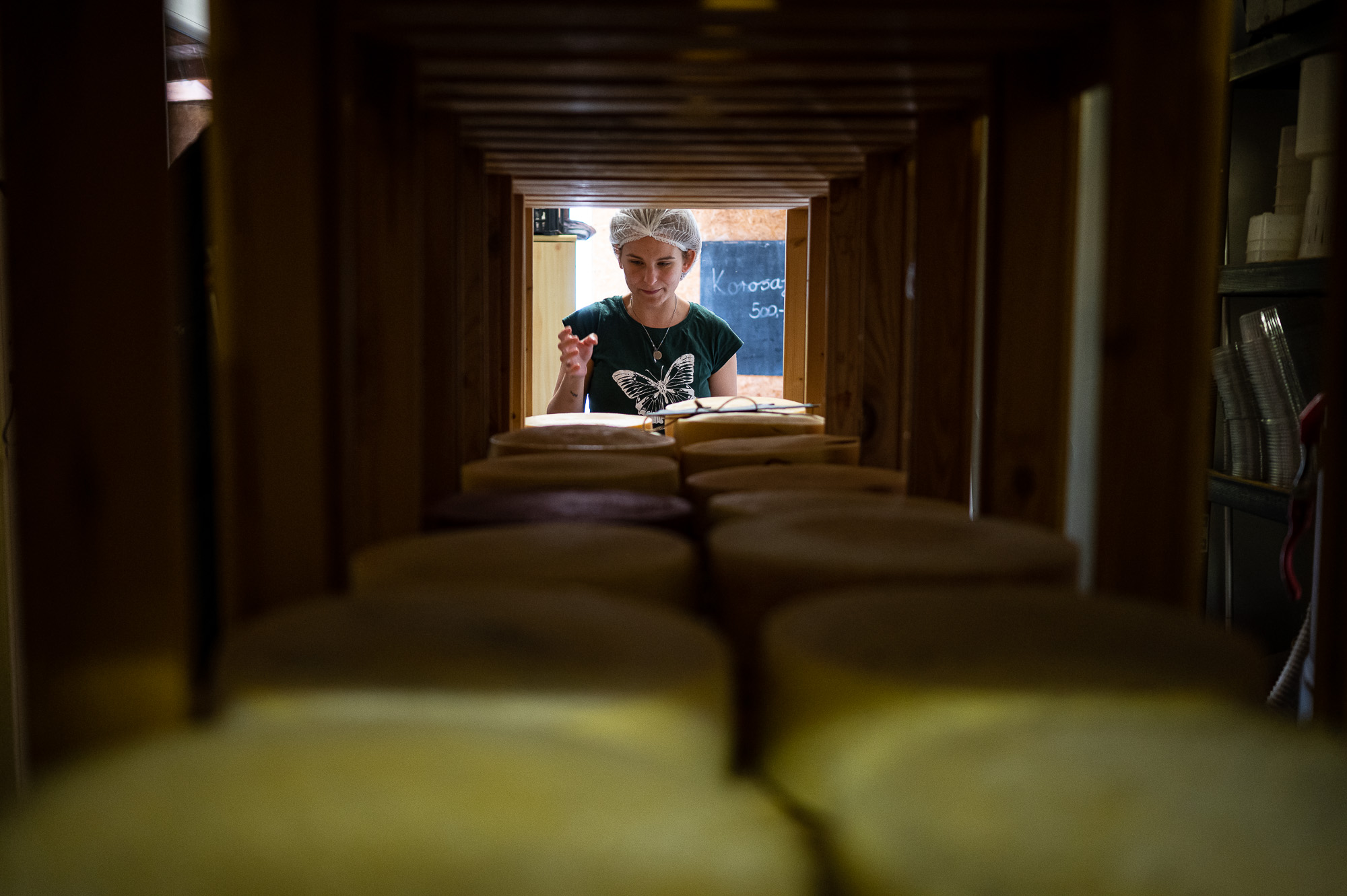 Korosa András, a Korosajt alapítója