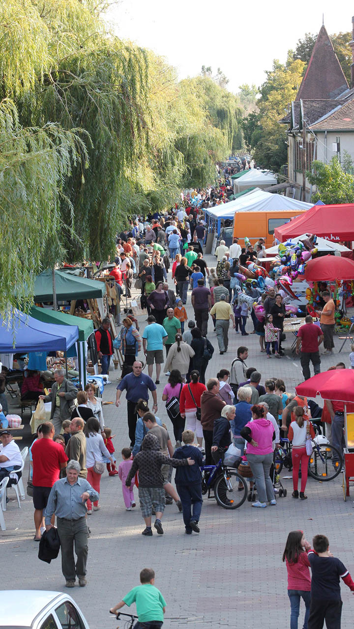 Legendák nyomában (X)