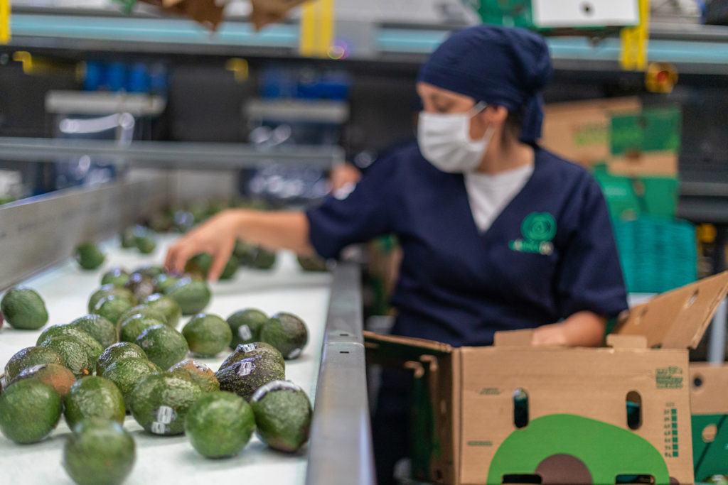 veganizmus vegán étrend növényi alapú étkezés