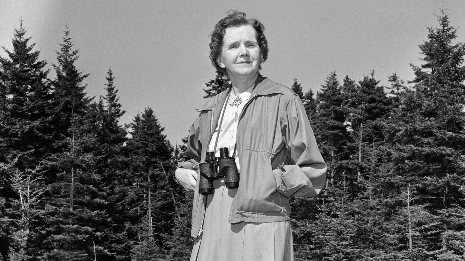 természetvédelem növényvédelem könyv Rachel Carson