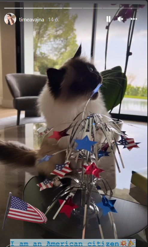 vajna timi állampolgár