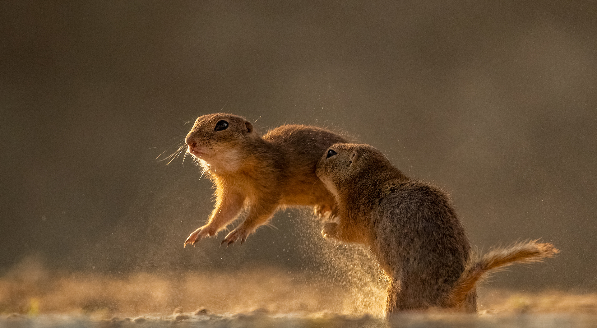 Szabó Irma természetfotós természetfotók portré