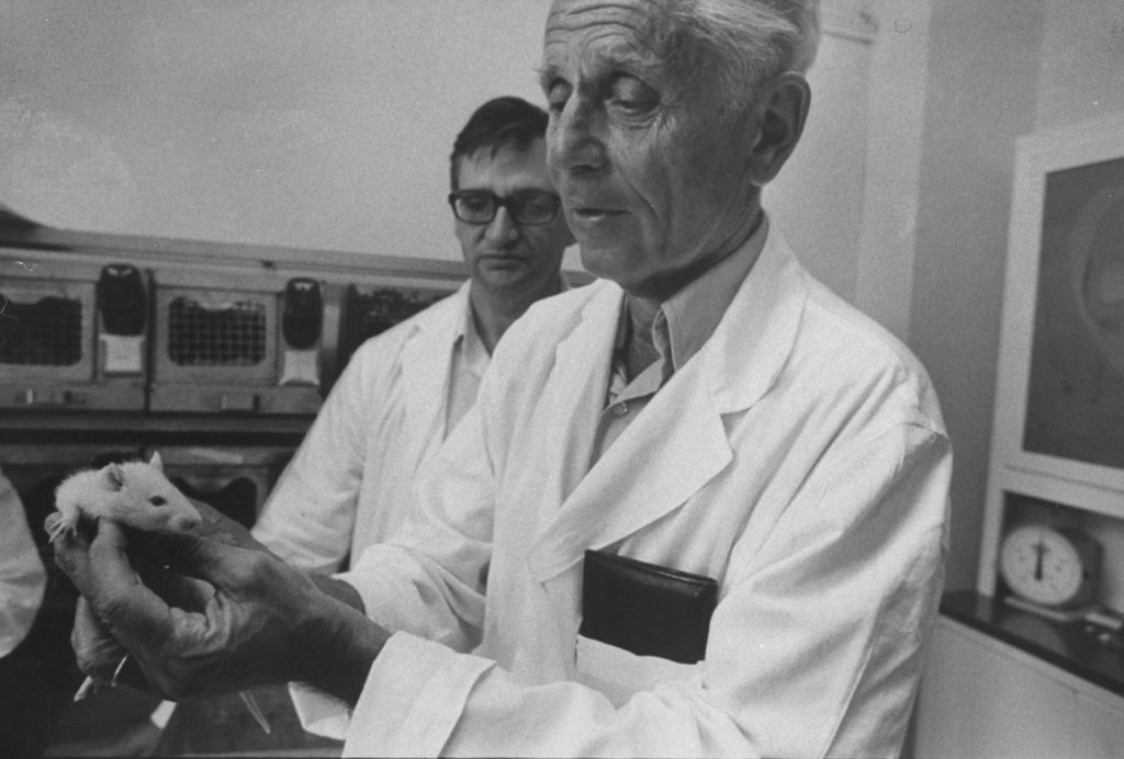 Selye János Máté Gábor stressz