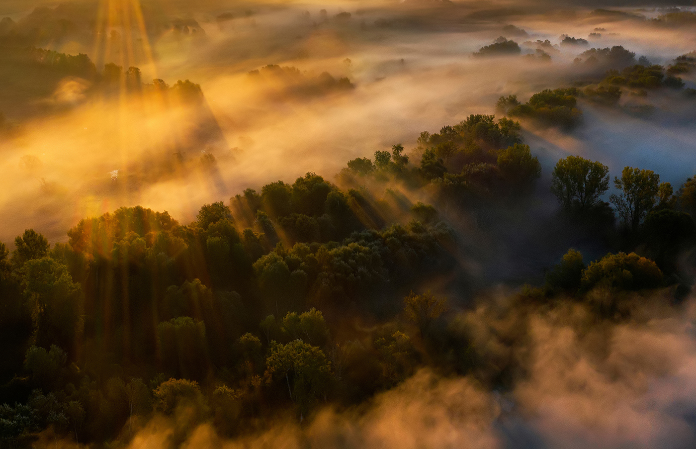 Szabó Irma természetfotós természetfotók portré