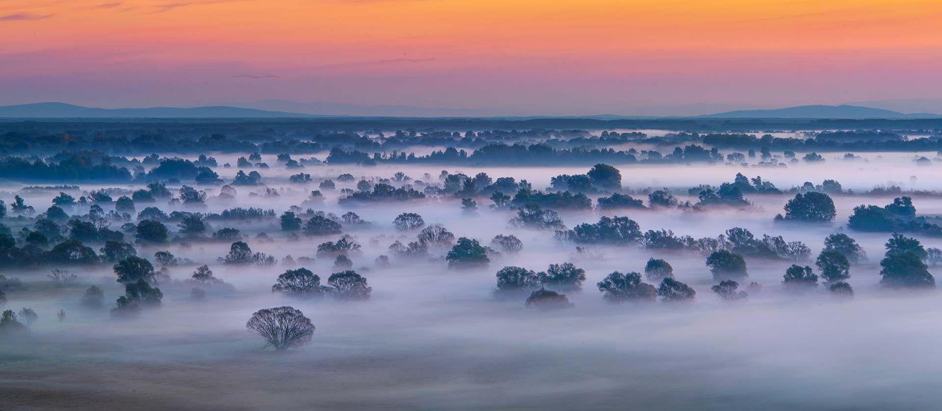 Szabó Irma: Őszi hajnalok