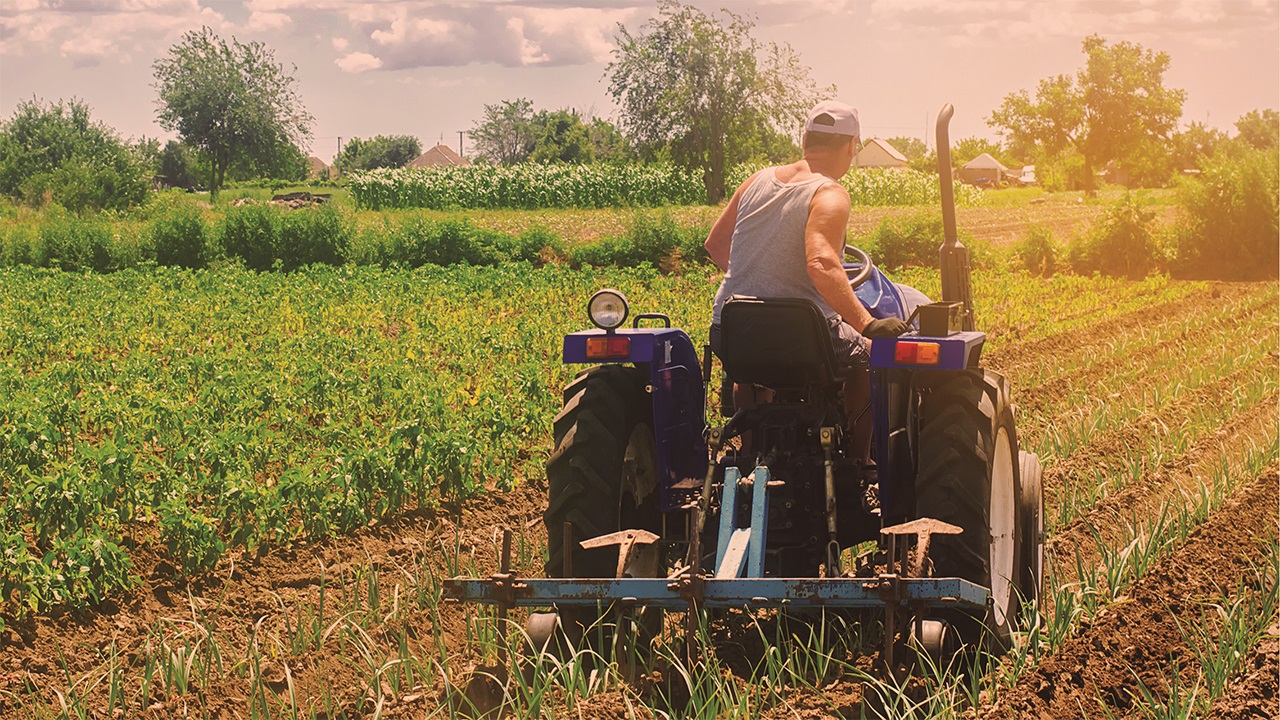 Munkavégzés hőségben? 7 dolog, amire érdemes figyelned (X)